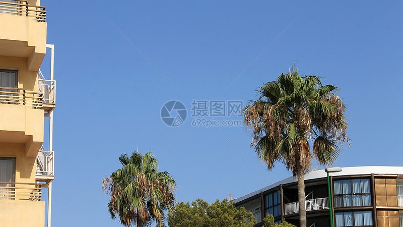 小标题：出境游的必要性